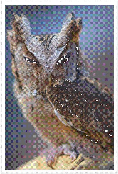 Winking owl - Image 2