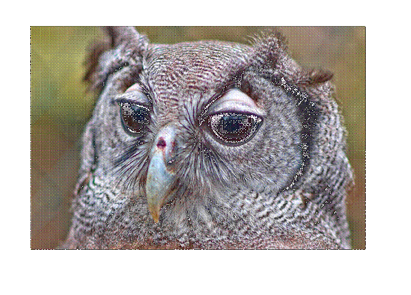 Owl #3 - Image 3
